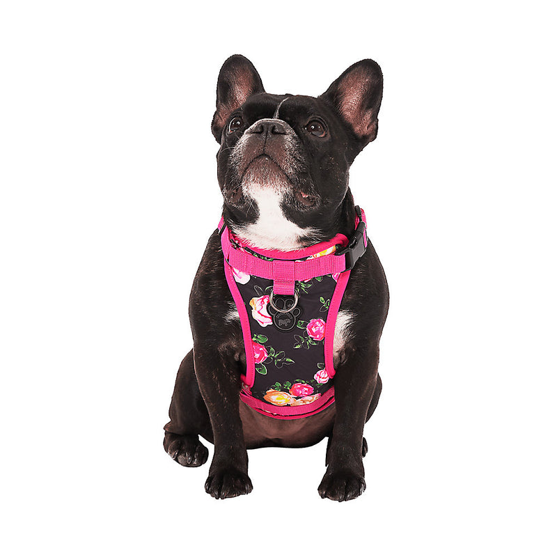 Canada Pooch The Everything Harness Floral