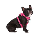 Canada Pooch The Everything Harness Floral