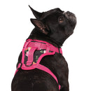 Canada Pooch The Everything Harness Floral