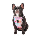 Canada Pooch The Everything Harness Tie-Dye
