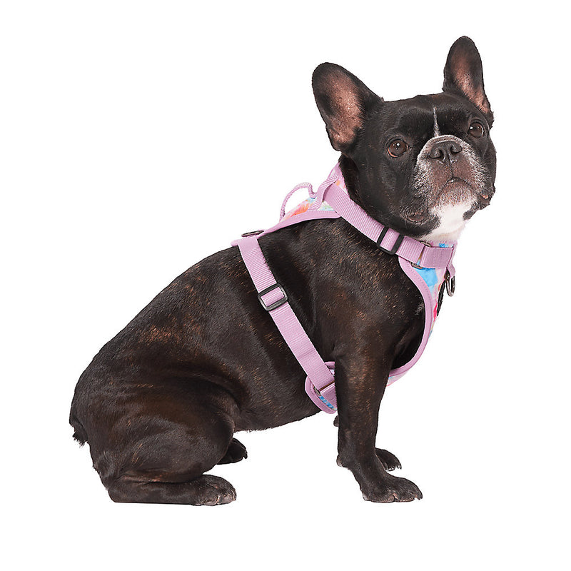 Canada Pooch The Everything Harness Tie-Dye