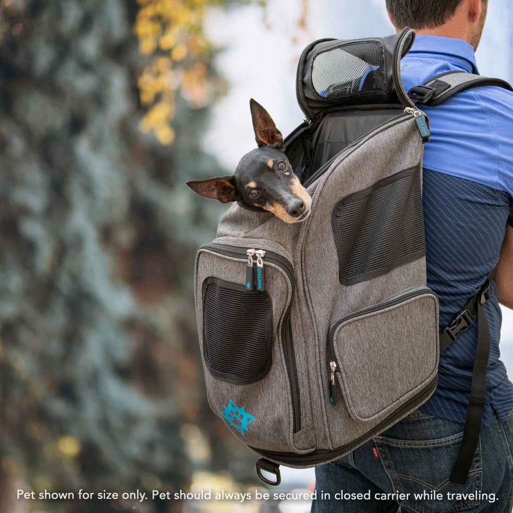 Dog carrier new arrivals backpack airline approved