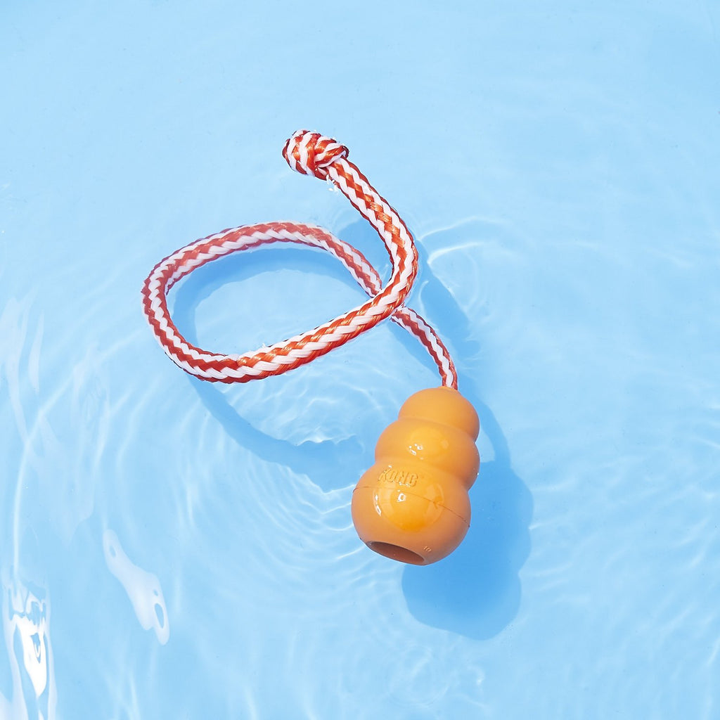 Kong floating dog toys top