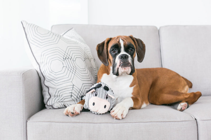 Outward Hound Fattiez Cow Plush Dog Toy