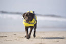 Canada Pooch Wave Rider Life Vest