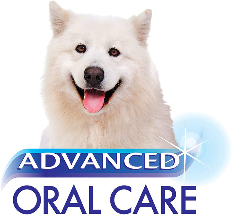 Nylabone Oral Care Toothpaste