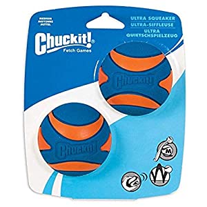 Chuckit! Ultra Squeaker Balls 2 pack