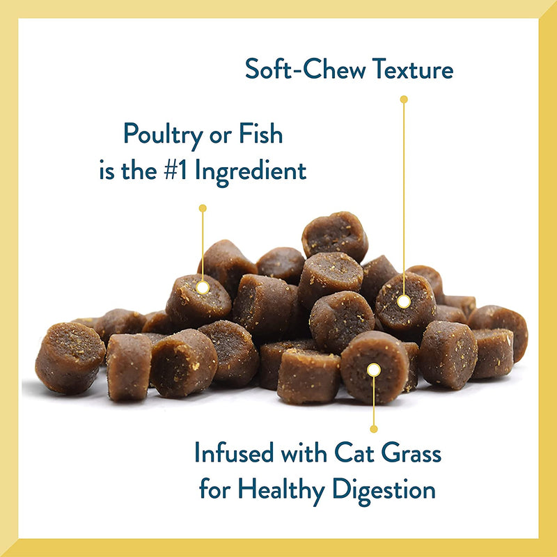 Cat Craves Tuna Recipe