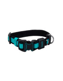 Inspire Adjustable Dog Collar Aqua