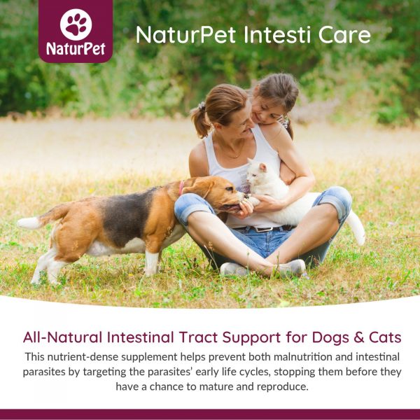 Dr. Maggie Intesti Care For Dogs and Cats