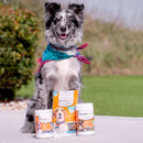 Calming Chews for Dogs