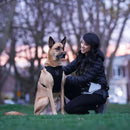 Canada Pooch The Everything Harness Black