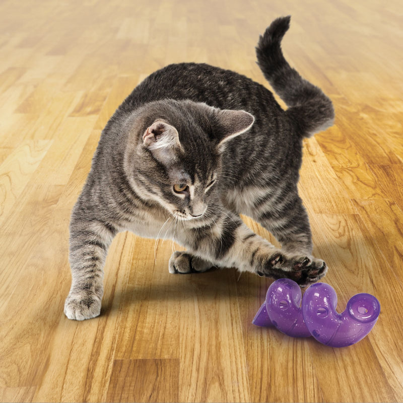 Kong active hotsell cat toy