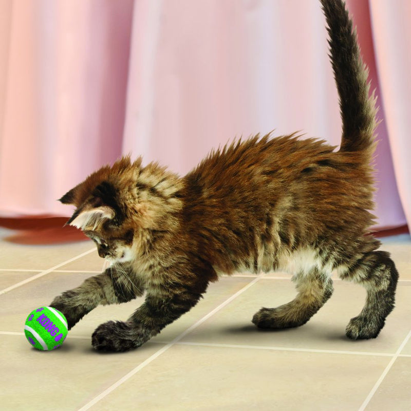 Kong Active Tennis Balls Cat Toys