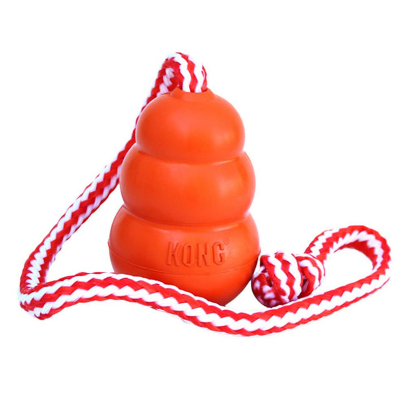 Kong Aqua Dog Toys