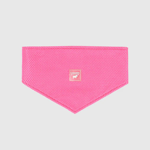 Canada Pooch Chill Seeker Bandana Neon Pink