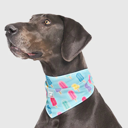 Canada Pooch Chill Seeker Bandana Popsicles