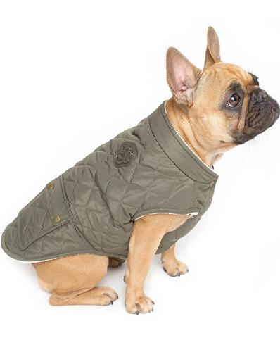 Canada Pooch Cityscape Coat Green