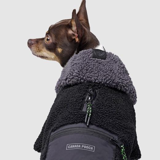 Canada Pooch Cool Factor Sherpa Hoodie Black Grey