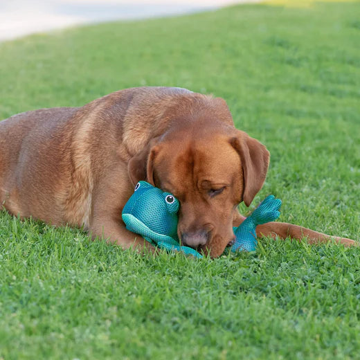 Canada Pooch Chill Seeker Cooling Pals Frog