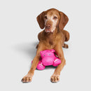 Canada Pooch Chill Seeker Cooling Pals Hippo