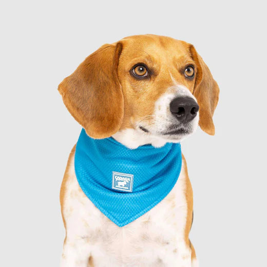 Canada Pooch Chill Seeker Bandana Blue