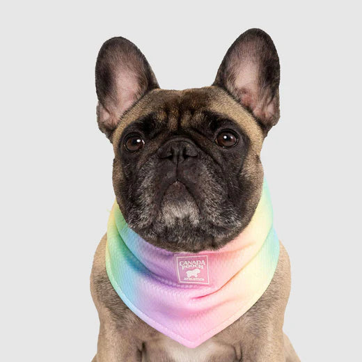 Canada Pooch Chill Seeker Bandana Rainbow