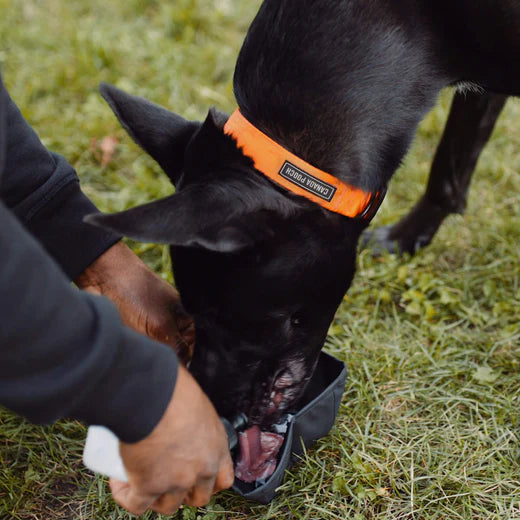 Canada Pooch Dog Hydration Pack