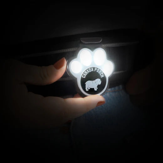 Canada Pooch Hands-Free Flashlight