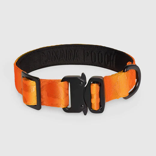 Canada Pooch Utility Collar Orange