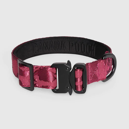 Canada Pooch Utility Collar Plum