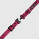 Canada Pooch Utility Collar Plum