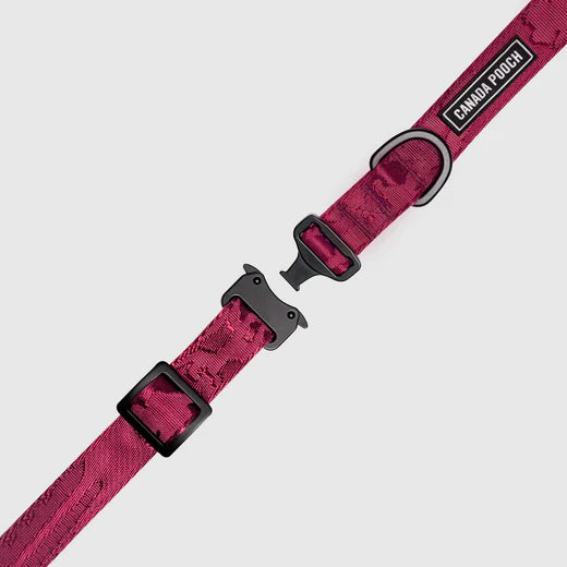 Canada Pooch Utility Collar Plum