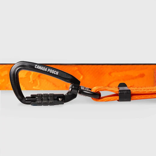 Canada Pooch Utility Leash Orange