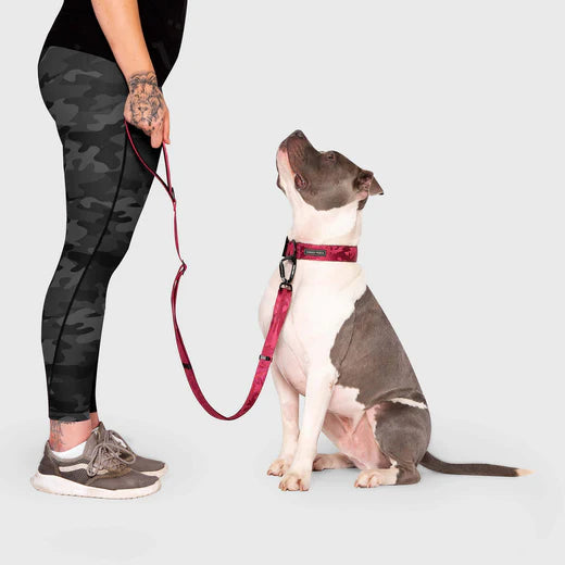 Canada Pooch Utility Leash Plum