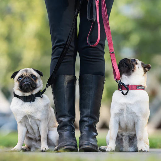 Canada Pooch Utility Leash Plum