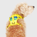 Canada Pooch The Everything Harness Rainbow