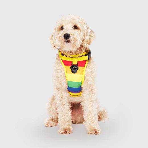 Canada Pooch The Everything Harness Rainbow