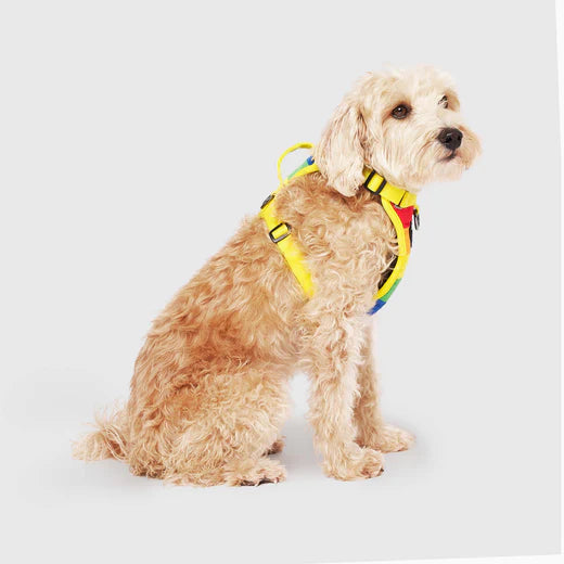 Canada Pooch The Everything Harness Rainbow