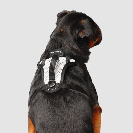 Canada Pooch The Everything Harness Reflective