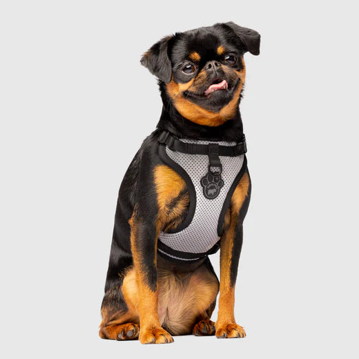 Canada Pooch The Everything Harness Reflective