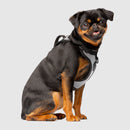 Canada Pooch The Everything Harness Reflective