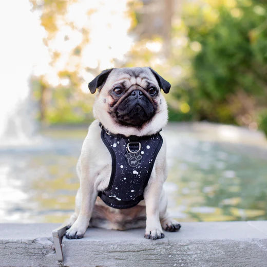 Canada Pooch The Water-Resistant Everything Harness Splatter