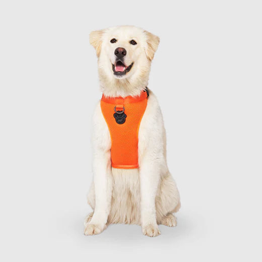 Canada Pooch The Everything Harness Orange