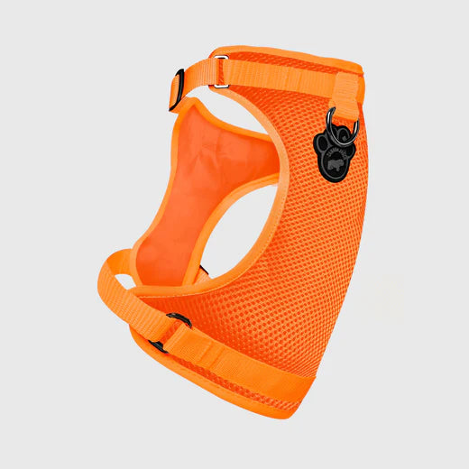 Canada Pooch The Everything Harness Orange