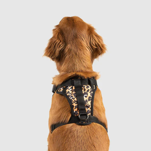 Canada Pooch The Water-Resistant Everything Harness Leopard