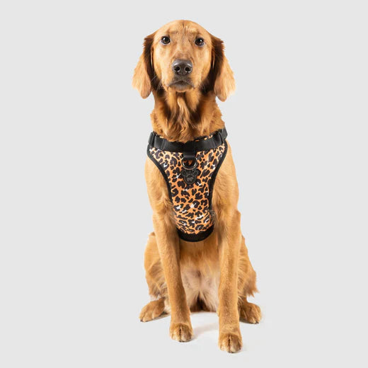 Canada Pooch The Water-Resistant Everything Harness Leopard