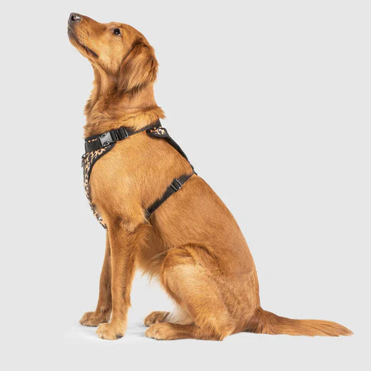 Canada Pooch The Water-Resistant Everything Harness Leopard