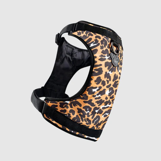 Canada Pooch The Water-Resistant Everything Harness Leopard