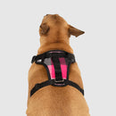 Canada Pooch The Water-Resistant Everything Harness Pink Plaid